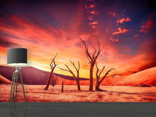 Load image into Gallery viewer, Photo Wallpaper Colorful desert
