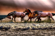 Load image into Gallery viewer, Photo Wallpaper Freedom for horses
