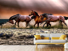 Load image into Gallery viewer, Photo Wallpaper Freedom for horses
