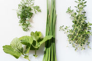 Photo Wallpaper Fresh herbs