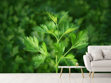 Load image into Gallery viewer, Photo Wallpaper Fresh parsley

