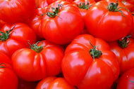 Photo Wallpaper Fresh tomatoes