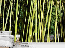 Load image into Gallery viewer, Photo Wallpaper Fresh bamboo
