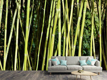 Load image into Gallery viewer, Photo Wallpaper Fresh bamboo
