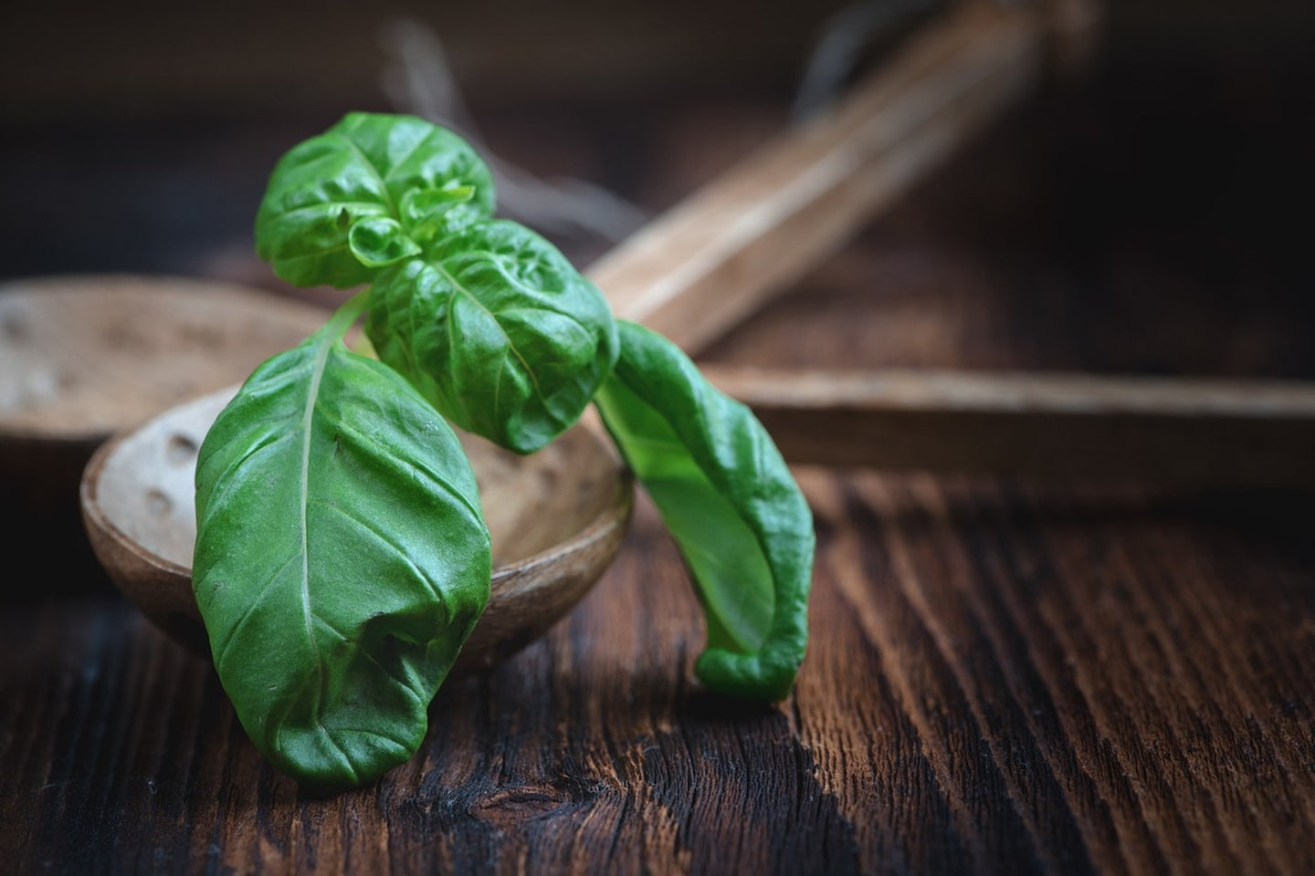 Photo Wallpaper Fresh basil XL