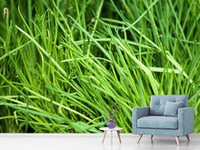 Load image into Gallery viewer, Photo Wallpaper Fresh chives XL
