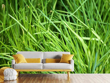 Load image into Gallery viewer, Photo Wallpaper Fresh chives XL
