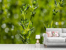 Load image into Gallery viewer, Photo Wallpaper Fresh thyme
