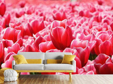 Load image into Gallery viewer, Photo Wallpaper Happy tulip field
