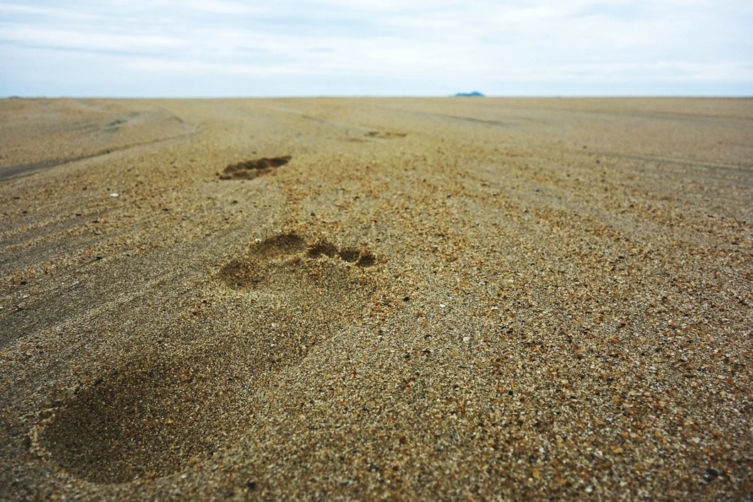 Photo Wallpaper Footprints XXL