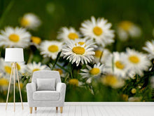 Load image into Gallery viewer, Photo Wallpaper Daisies XL 2
