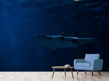 Load image into Gallery viewer, Photo Wallpaper Dangerous shark
