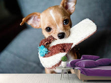 Load image into Gallery viewer, Photo Wallpaper Obedient chihuahua

