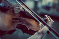 Photo Wallpaper violin