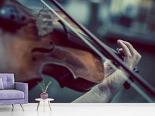 Load image into Gallery viewer, Photo Wallpaper violin
