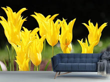 Load image into Gallery viewer, Photo Wallpaper Yellow tulips in the nature
