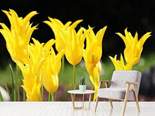 Load image into Gallery viewer, Photo Wallpaper Yellow tulips in the nature
