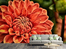 Load image into Gallery viewer, Photo Wallpaper Painting of a dahlia
