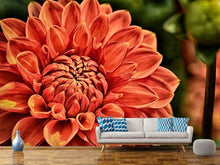 Load image into Gallery viewer, Photo Wallpaper Painting of a dahlia
