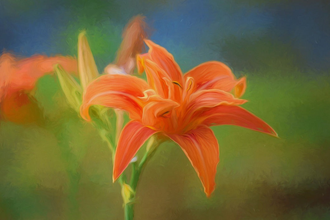 Photo Wallpaper Painting of a lily