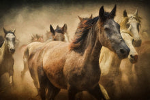 Load image into Gallery viewer, Photo Wallpaper Painting wild horses
