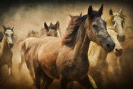 Photo Wallpaper Painting wild horses