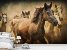 Load image into Gallery viewer, Photo Wallpaper Painting wild horses
