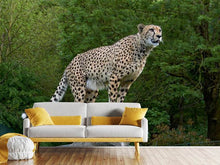 Load image into Gallery viewer, Photo Wallpaper Cheetah on the go
