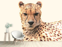 Load image into Gallery viewer, Photo Wallpaper Cheetah in the sun
