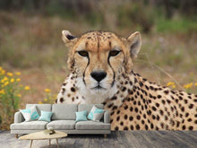 Load image into Gallery viewer, Photo Wallpaper Cheetah XL

