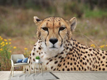 Load image into Gallery viewer, Photo Wallpaper Cheetah XL
