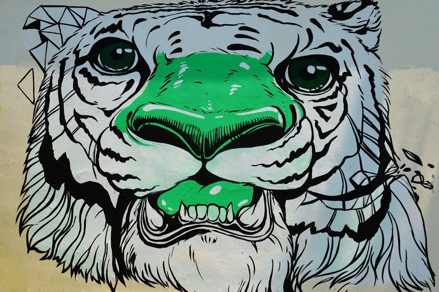 Photo Wallpaper Graffiti Tiger