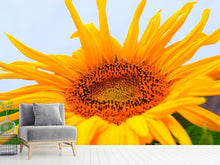 Load image into Gallery viewer, Photo Wallpaper Big sunflower

