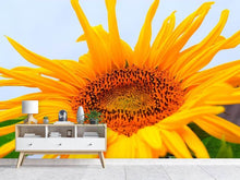Load image into Gallery viewer, Photo Wallpaper Big sunflower
