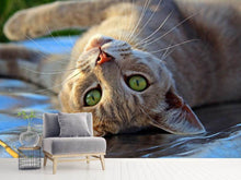 Load image into Gallery viewer, Photo Wallpaper green eye
