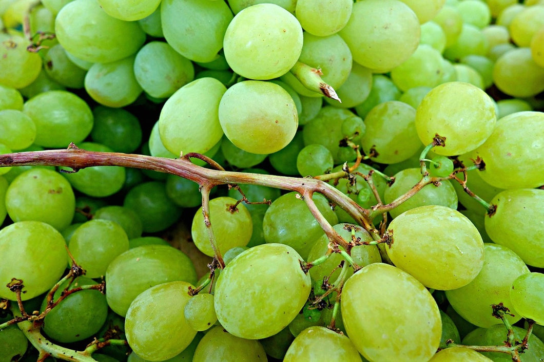Photo Wallpaper Green grapes