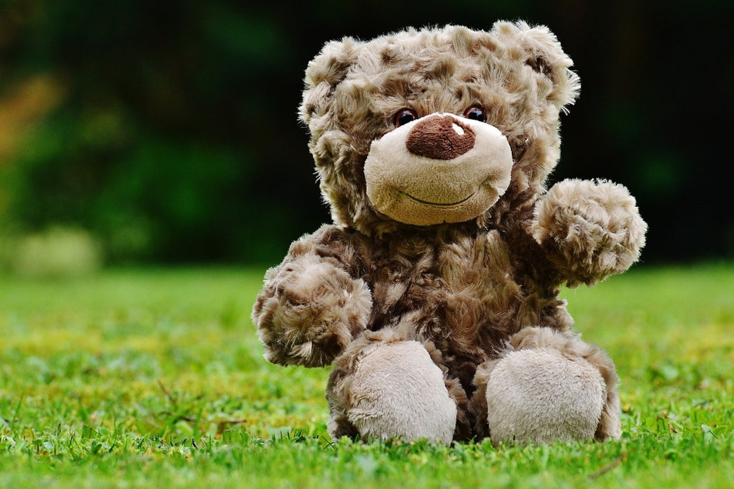 Photo Wallpaper Happy Teddy Bear
