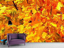 Load image into Gallery viewer, Photo Wallpaper Autumn leaves
