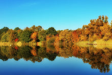 Load image into Gallery viewer, Photo Wallpaper Autumn reflections
