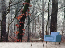 Load image into Gallery viewer, Photo Wallpaper autumn winter
