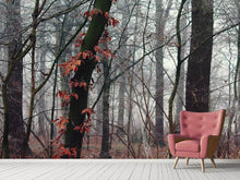 Load image into Gallery viewer, Photo Wallpaper autumn winter
