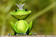 Photo Wallpaper Mr. Frog King