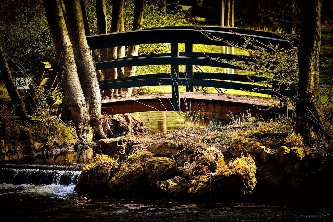 Photo Wallpaper Wooden bridge in the forest