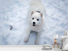 Load image into Gallery viewer, Photo Wallpaper Dogs joy in the snow
