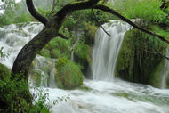 Photo Wallpaper In the national park