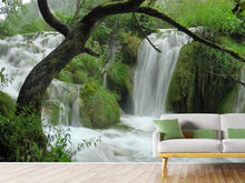 Load image into Gallery viewer, Photo Wallpaper In the national park
