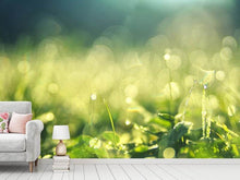 Load image into Gallery viewer, Photo Wallpaper In the meadow
