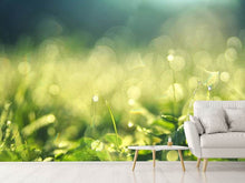 Load image into Gallery viewer, Photo Wallpaper In the meadow
