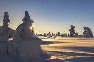 Photo Wallpaper In Lapland