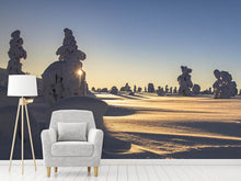 Load image into Gallery viewer, Photo Wallpaper In Lapland
